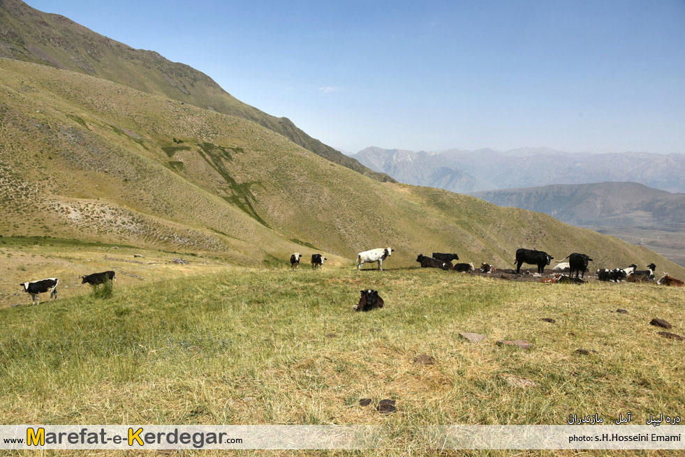 جاذبه های گردشگری استان مازندران